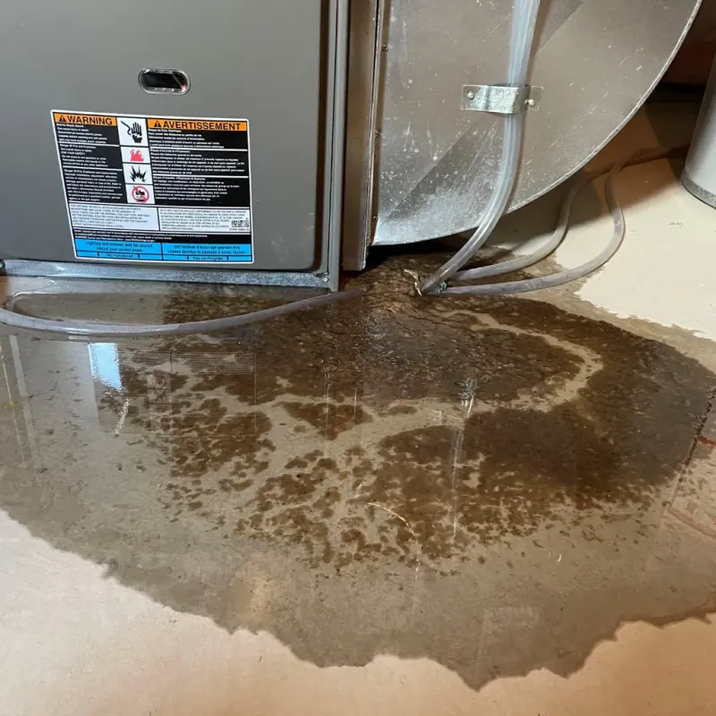 Appliance Leak Cleanup in Gowanda, NY